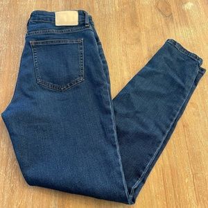 Everlane The Curvy Way-High® Skinny Jean Women’s size 29